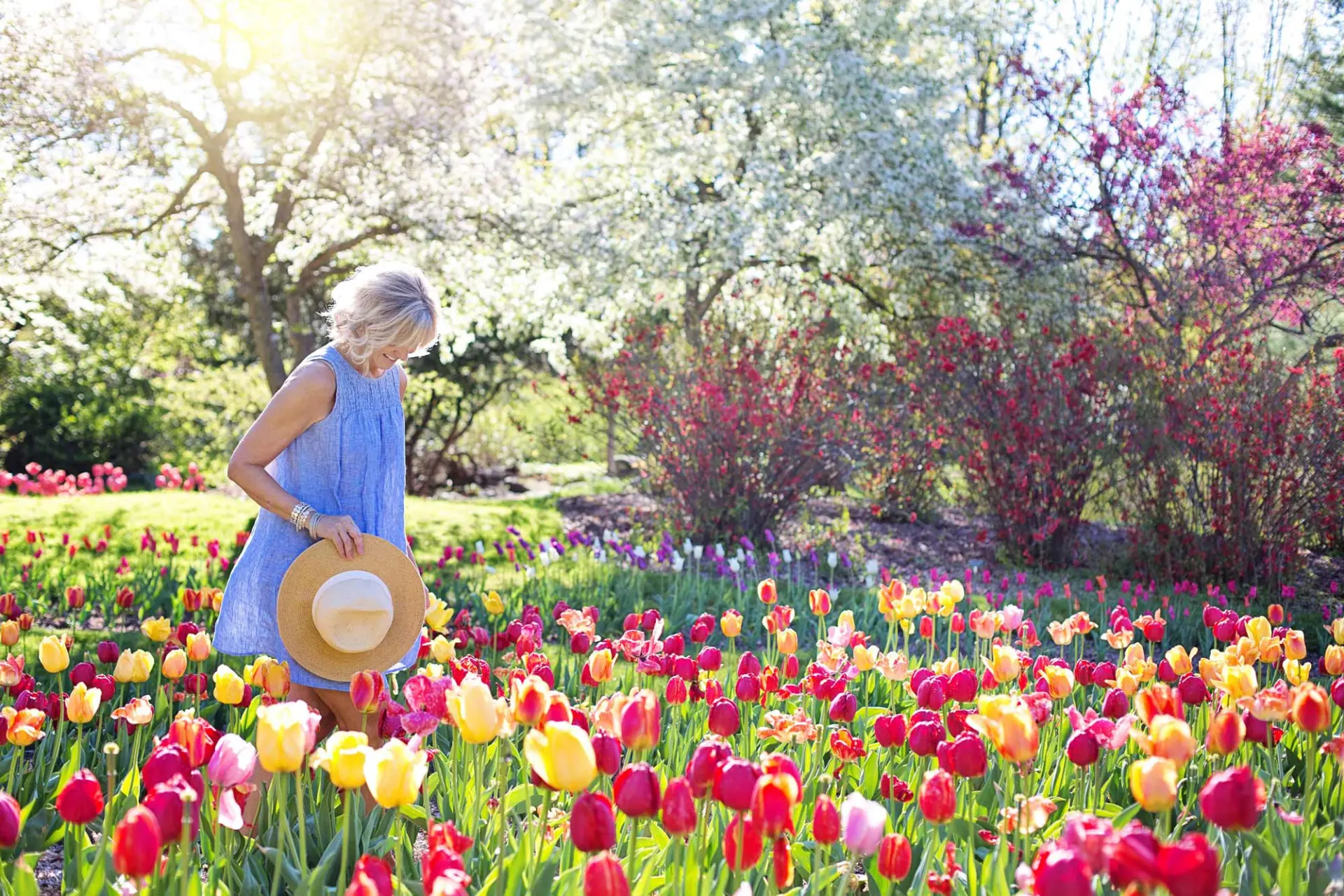 Genieten van een kleurrijke tuin vol tulpen en bloeiende bomen